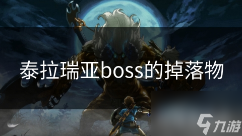 泰拉瑞亚boss的掉落物