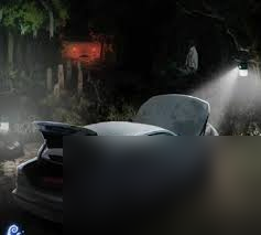 纸嫁衣8千子树第四章勿弃怎么解谜