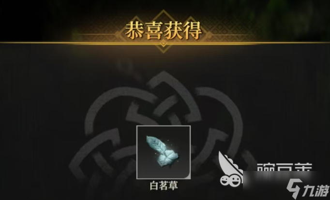 地下城堡4白茗草怎么打 地下城堡4白茗草获取攻略