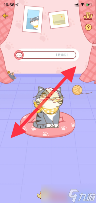《心动日常》猫咪亲密接触技巧分享