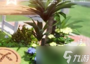 《开放空间》瓶中小径收藏品