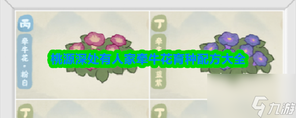 《桃源深处有人家》牵牛花育种配方大全