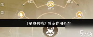 星痕共鸣臂章如何加点