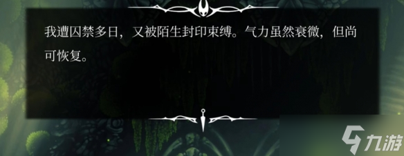 《空洞骑士：丝之歌》发售火爆却环国区好评？