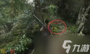 明末渊虚之羽竹笋道具怎么获取
