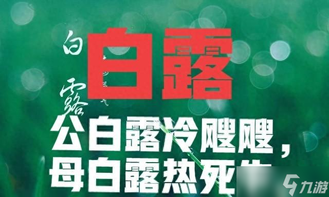 “公白露冷飕飕,母白露热死牛”,今年白露是啥 有啥说法