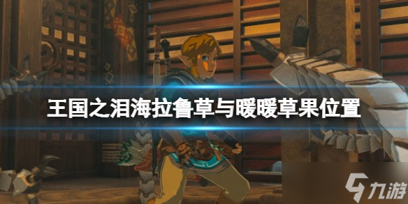 王国之泪暖暖草果采摘地点全攻略