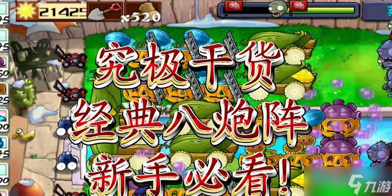 《植物大战僵尸》无限生存8炮流阵型攻略（打造最强进攻阵容）
