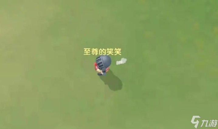 摩尔庄园农场是否能够实现互助经营