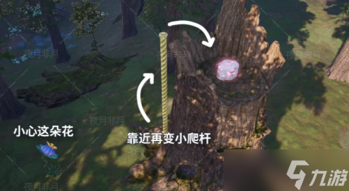 无限暖暖祈愿树林服装宝箱分布位置点