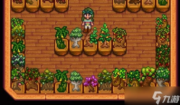 《星露谷物语》盆栽果树MOD！室内种植+蜜柑枇杷等10种新树种