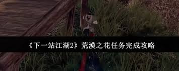 下一站江湖2荒漠之花任务如何完成
