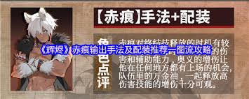 辉烬范海辛如何进行配队