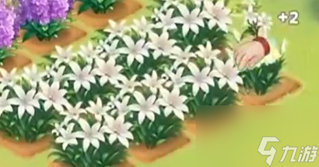 《我的花园世界》批量种花技巧