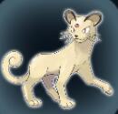 宝可梦大探险猫老大怎么样