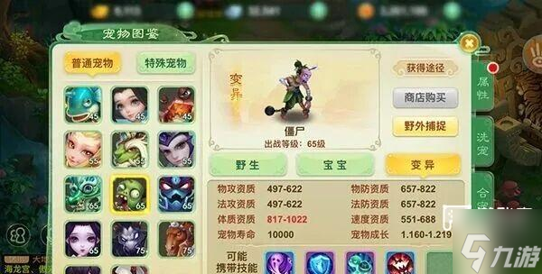 西游女儿国宠物养成攻略