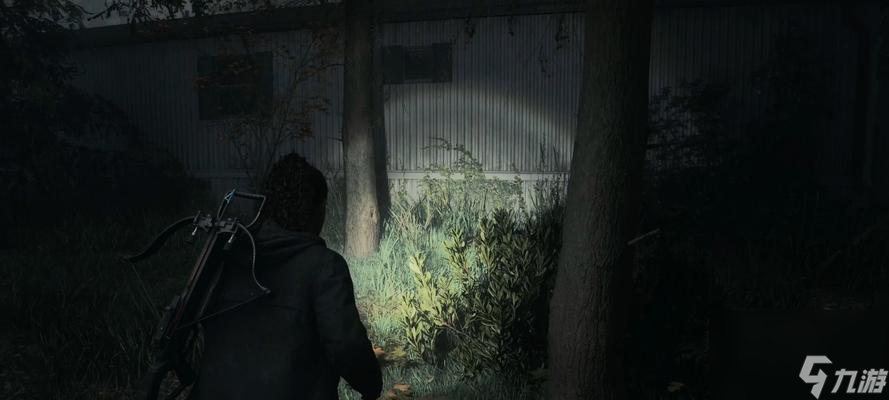 《以心灵杀手》PC版全流程攻略（细节决定胜负）