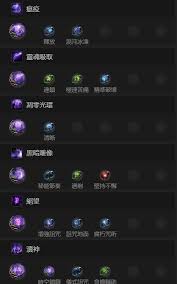 流放之路2血岩胸甲怎么配装
