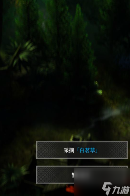 地下城堡4白茗草位置在哪里