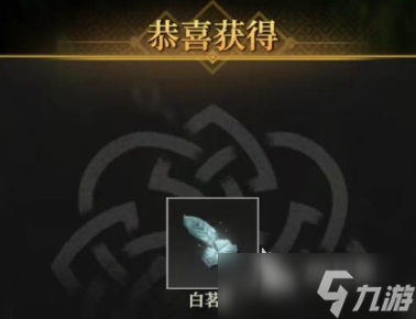 地下城堡4白茗草位置在哪里 地下城堡4白茗草怎么获取
