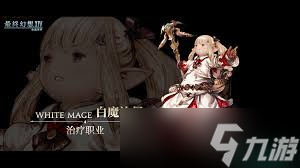 最终幻想14水晶世界召唤师怎么玩