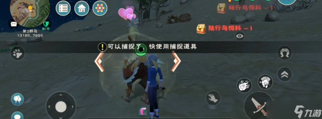 创造与魔法用什么捕捉