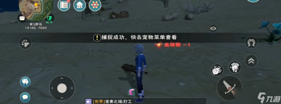 创造与魔法用什么捕捉