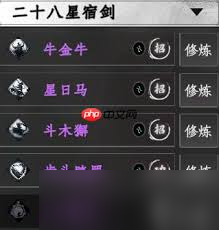 二十八星宿剑怎么深度解析