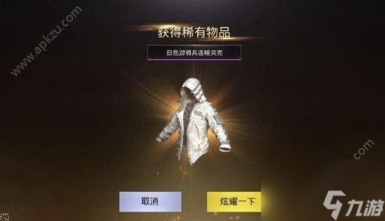 刺激战场稀有衣服有哪些稀有衣服大全