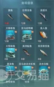 大航海时代传说中如何钓鱼