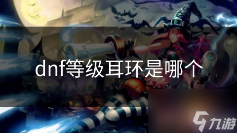 dnf中等级耳环是啥呀,等级耳环相关解答