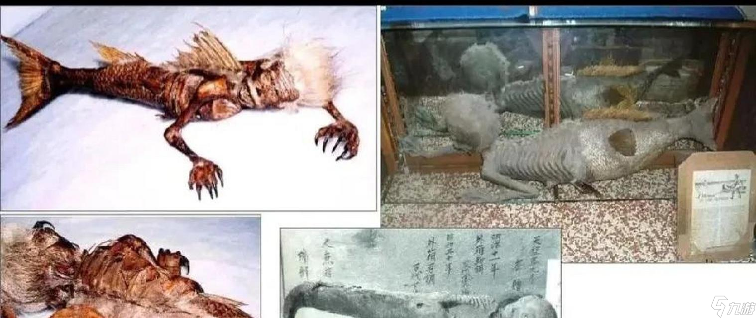 鲛人珠获取途径及条件是什么？