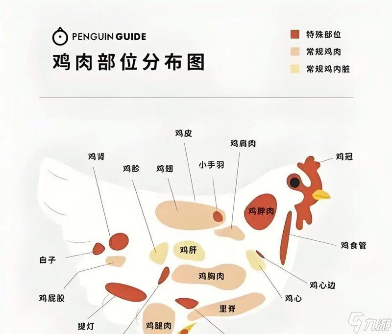《寻找小森生活中的金鸡》（探索金鸡分布位置）