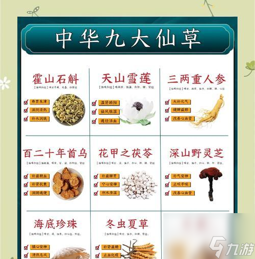 修真草药大全——游戏中的修真世界（探索修真草药的神秘功效与作用效果）