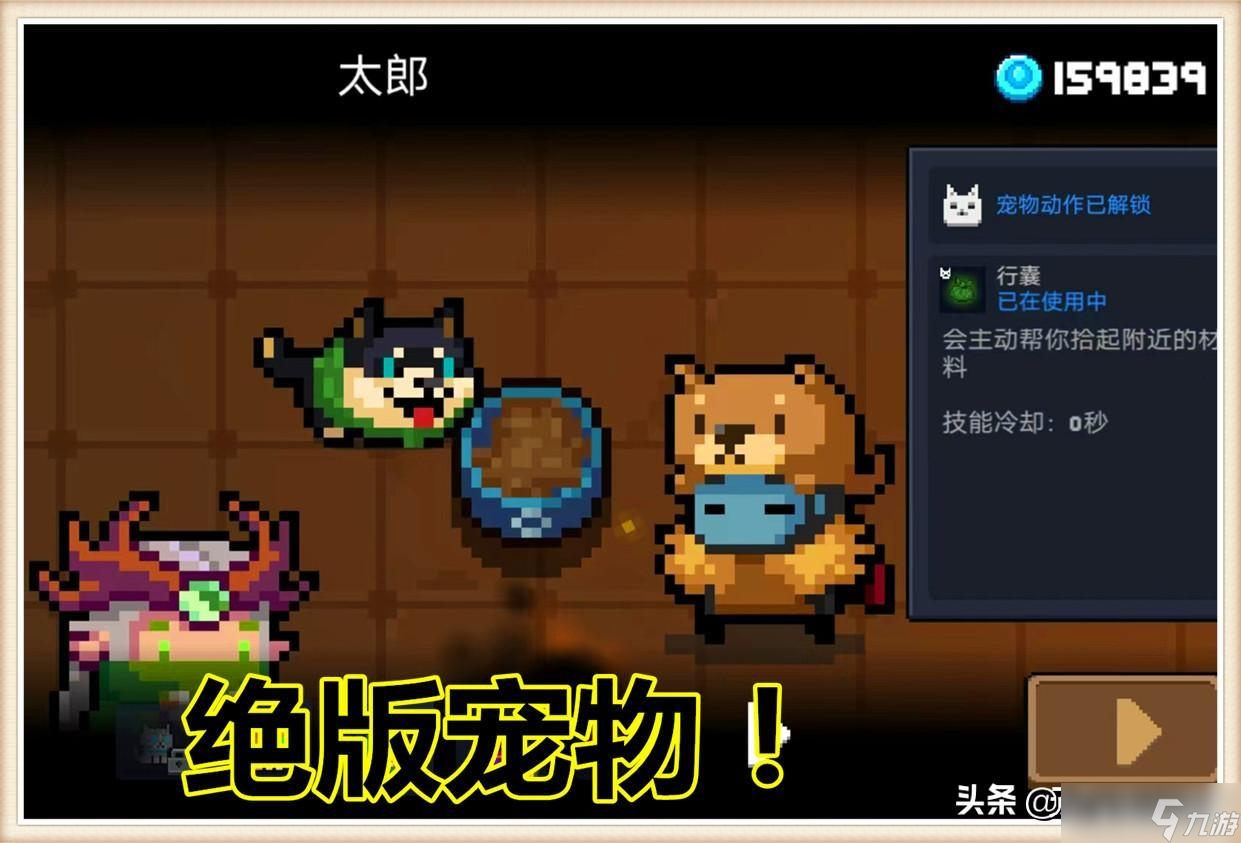 元气骑士宠物如何换
