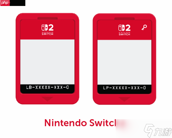 曝任天堂只给Switch 2游戏开发者2种卡带选择 要么选最贵的要么选钥匙卡