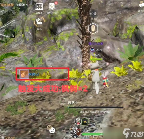 零度曙光采集概率提升技巧详解