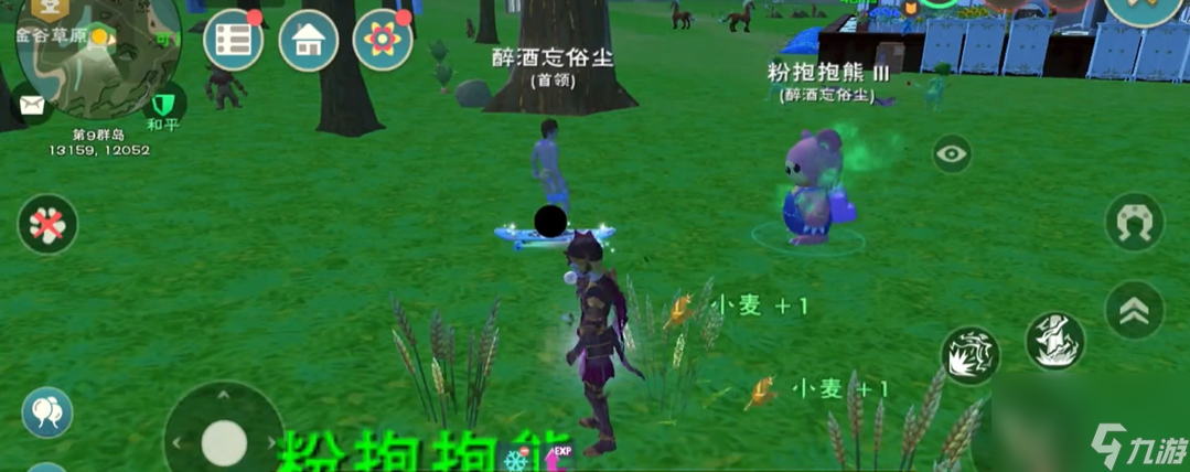 创造与魔法小麦哪里多