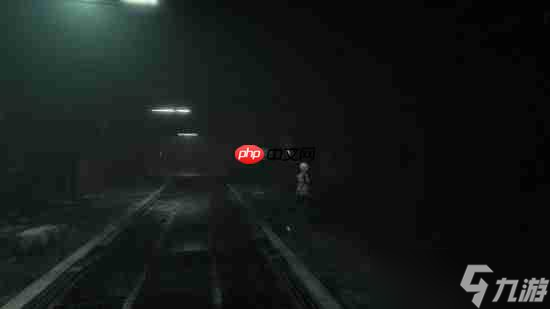 DSO Gaming评二次元画风新游《寄生种》：有点像《寄生前夜》