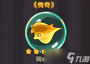 咸鱼之王母同心和公同心选哪个好