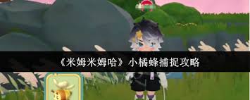 米姆米姆哈无法拍照如何解决