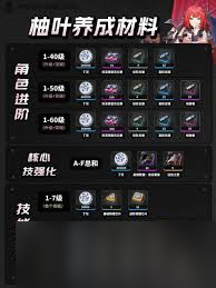 绝区零柚叶养成材料有哪些