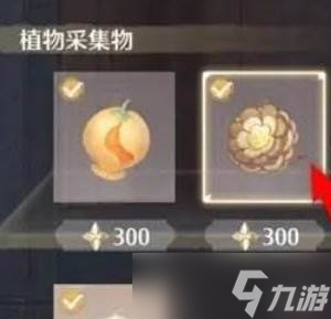 《无限暖暖》纽扣松果