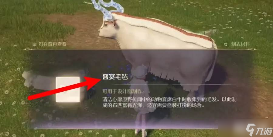 《无限暖暖》盛宴毛毡获取