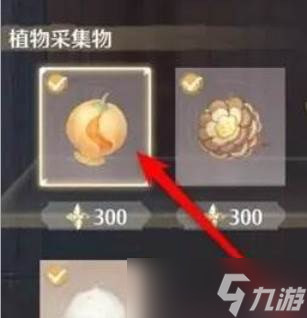 《无限暖暖》布布果购买