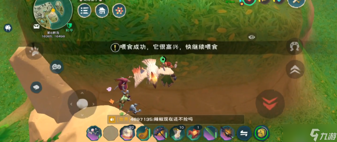 创造与魔法云斑鹦鸟饲料包怎么做