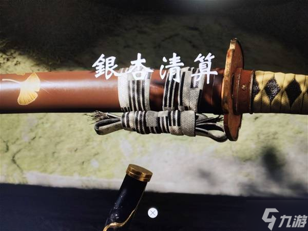 《羊蹄山之魂》俯瞰田野亡者之柱入口位置 俯瞰田野亡者之柱怎么上去