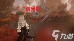 光與影33號(hào)遠(yuǎn)征隊(duì)眼眸島怎么探索