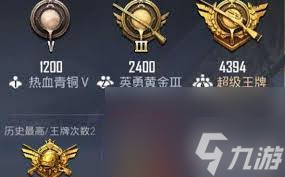 和平精英王牌印记有啥效果