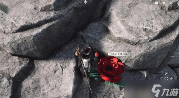 燕云十六声一花中愿任务怎么做 来生岸之一花中愿如何完成